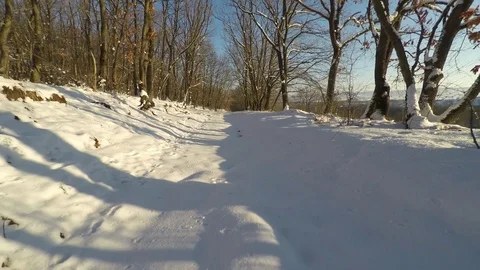Drone Flight Above Snowy Oak Forest Clearing 2017 Stock Footage 71800324