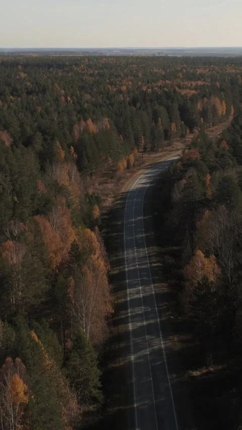 Drone flight above straight empty highway in autumn forest, Ural region Russia Stock Footage 346558952