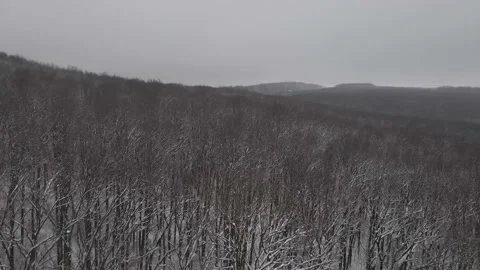 Drone flight above the winter forest on a cloudy day Stock-Footage 148685797