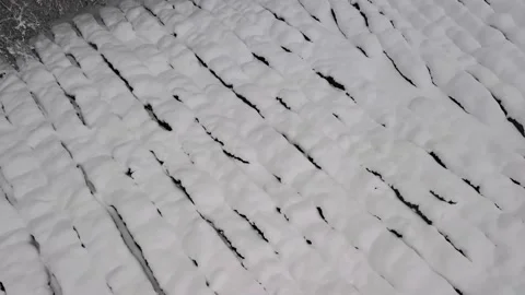 Drone flight above winter tea plantation landscape. Snow covered plants. Winter Vidéo 149683367