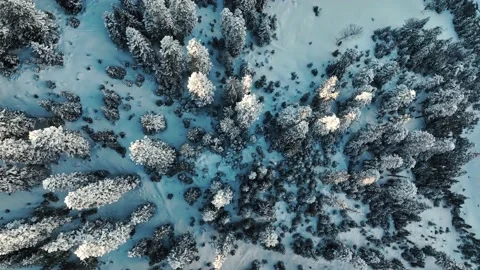 Drone flight above winter treess covered with snow. 库存影片 237106616