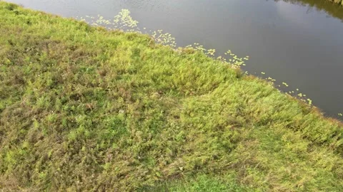 Drone flight across a small river on a summer day Stock Footage 138426065