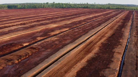 Drone flight. Aerial view of peat extraction bog. Large peat extraction field. Stock Footage 317935094