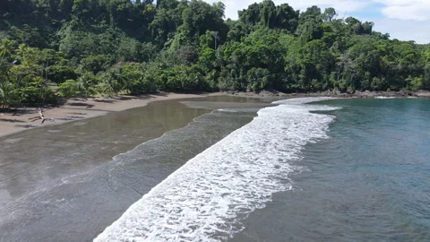 Drone Flight Along a Black Sand Beach on Pacific Coast of Costa Rica. Stock-Footage 342401340