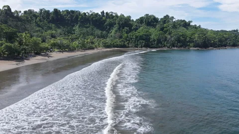 Drone Flight Along a Black Sand Beach on Pacific Coast of Costa Rica. 库存影片 342401717