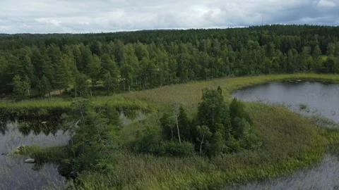 Drone flight along a coastal line in Sweden. Stock Footage 248098060