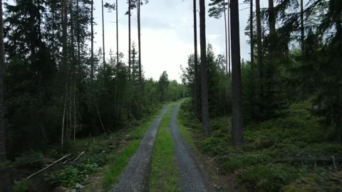 Drone flight along a forest path in Sweden. Stock Footage 248089609