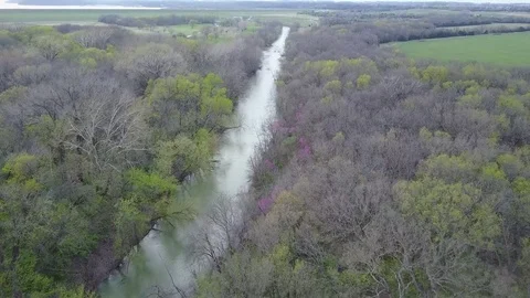 Drone Flight Along River, Over River and Forest Stock Footage 85428183