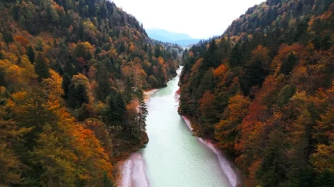 Drone flight along small mountain river with autumn trees along steep valley Stock Footage 296582176