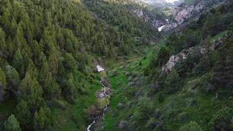 Drone Flight Along Stream. Kazakhstan, Sayram-Ugam State National Nature Park Stock Footage 332943465
