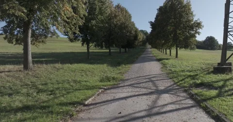 Drone Flight Along Tree-Lined Road Uphill to Castle with Acceleration in 5K Video stock 317942684