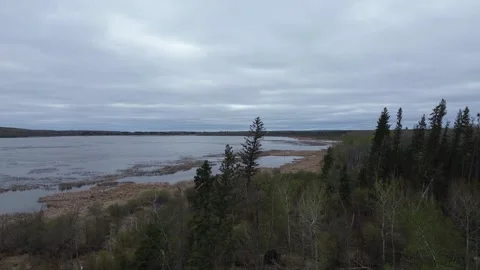 Drone flight along a wild, forested lake shoreline on a moody day Stock Footage 312416704