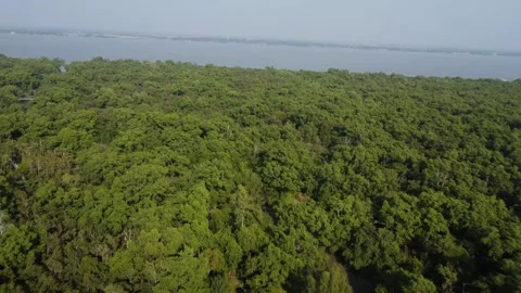 Drone Flight Approaching Pashur River Over Mangrove Forest in the Sundarbans Stock Footage 327637355