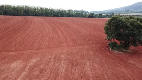Drone flight in area ready to be planted field for grain soy maize production. Stock Footage 114883895