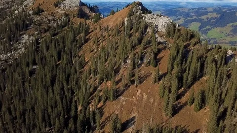 Drone flight around mountain with forest in Swiss alps. Stock Footage 107086997