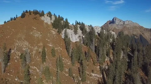 Drone flight around mountain with forest in Swiss alps. Stock Footage 107087158