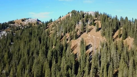 Drone flight around mountain with forest in Swiss alps. Stock Footage 107087381