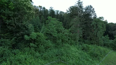 Drone flight in background graz (Austria) in 4k Stock Footage 200978013