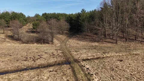 Drone flight backward from forest path at low altitude Stock Footage 330369679