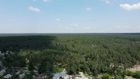 Drone Flight backwards from the green pine forest to the village with lake. Stock Footage 235395618