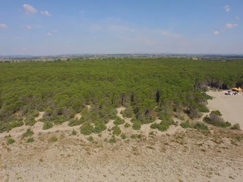 Drone Flight from the beach to the beautiful forest Stock Footage 72561081
