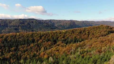 Drone flight on beautiful nature. Golden autumn in Europe Stock Footage 130275853