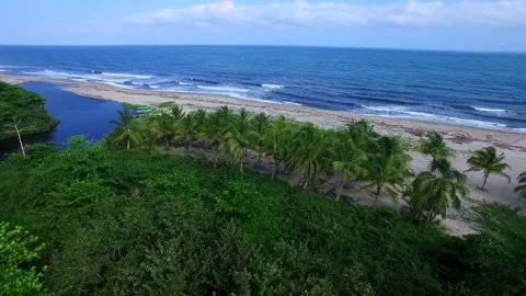 Drone flight between tropical jungle and exotic caribbean beach Stock Footage 231817709