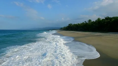 Drone flight between tropical jungle and exotic caribbean beach Stock Footage 231817917