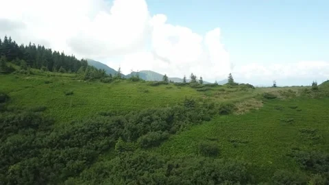 Drone flight in the carpathians mountain appears on the horizon Stock Footage 137921311