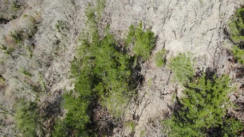 Drone flight of the Caucasus mountains. Mountains from the air. Stock Footage 124756118