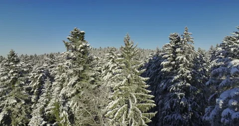 Drone Flight in a Cinematic Winter landscape at South Bavaria Video stock 227910111
