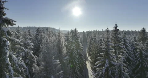 Drone Flight in a Cinematic Winter landscape at South Bavaria 動画素材 227916990