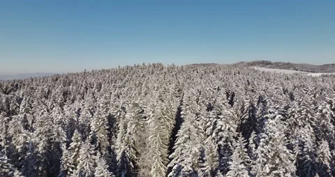 Drone Flight in a Cinematic Winter landscape at South Bavaria Video stock 227920210