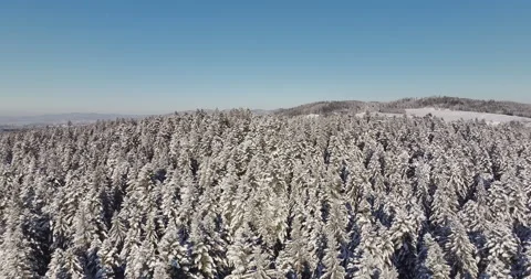 Drone Flight in a Cinematic Winter landscape at South Bavaria Stock-Footage 227921848