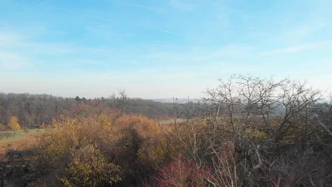 Drone flight close over trees to wide field Stock Footage 103120710