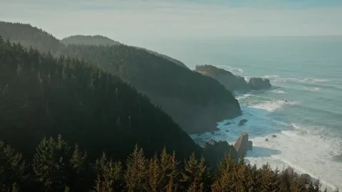 Drone Flight from Dense Forest Towards the Sea – Scenic Aerial Journey Stock Footage 315098800