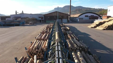Drone flight down a log conveyor line at an industrial lumber sawmill Stock Footage 316032284