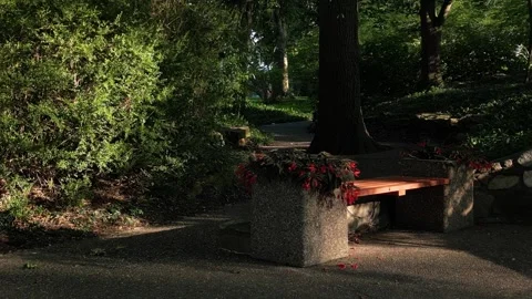 Drone flight down the pathway Stock Footage 249396557