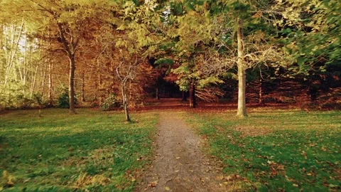 Drone Flight Down A Walking Path And Through The Trees Video stock 255048002