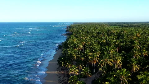 Drone Flight in the Evening Light over a Deserted Beach in the DR. Video stock 274833042