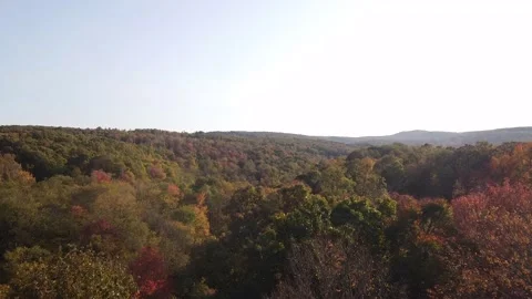 A Drone Flight in the Fall 스톡 동영상 146194542