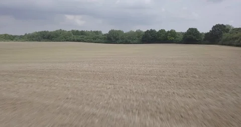 DRONE FLIGHT FAST ON THE FIELD Stock Footage 112255523