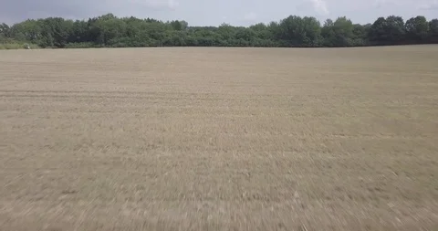 DRONE FLIGHT FAST ON THE FIELD Stock Footage 112257063