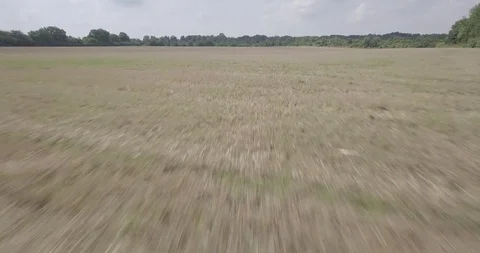 DRONE FLIGHT ON THE FIELD low fast Stock Footage 112257705