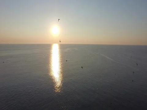 Drone Flight with a flock of birds flying during sunrise Stock Footage 72457009