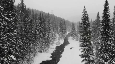 Drone flight  Stock Footage 232825012