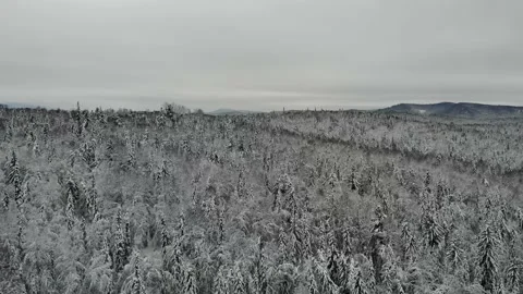 Drone flight Stock Footage 232825017