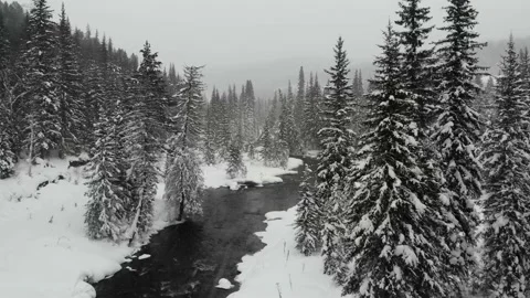 Drone flight  Stock Footage 232825024