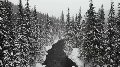 Drone flight  Stock Footage 232825071