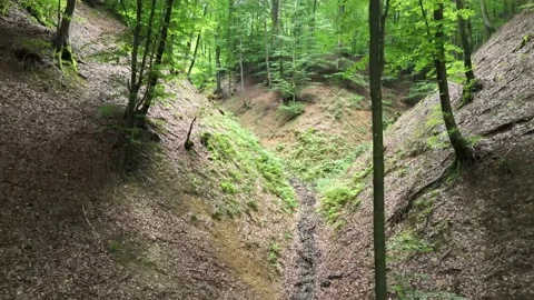 Drone flight in the forest meju mountains to the forked gorge Stock Footage 137944233